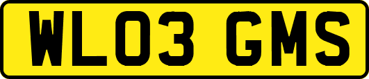 WL03GMS