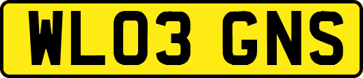 WL03GNS