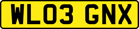 WL03GNX