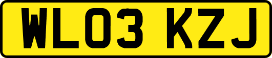 WL03KZJ