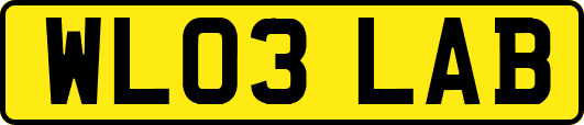 WL03LAB