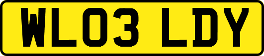 WL03LDY