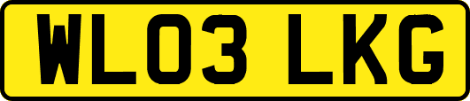 WL03LKG