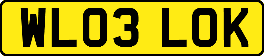 WL03LOK