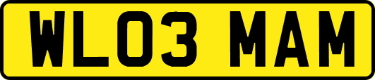 WL03MAM