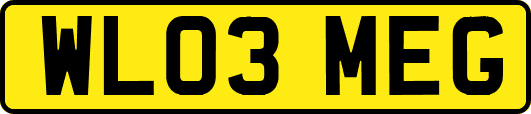 WL03MEG