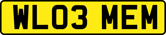 WL03MEM