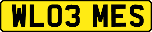 WL03MES