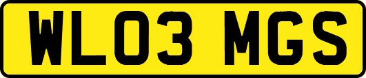 WL03MGS