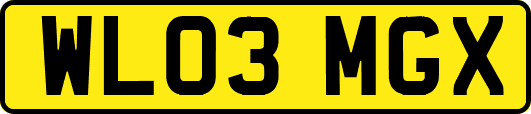 WL03MGX