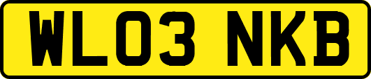 WL03NKB