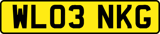 WL03NKG