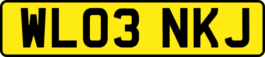 WL03NKJ
