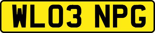 WL03NPG