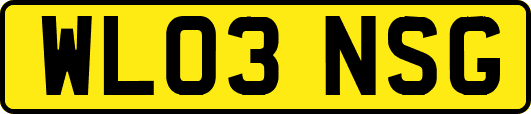 WL03NSG