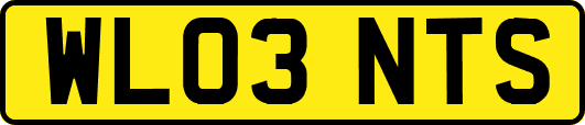 WL03NTS