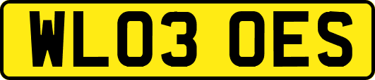WL03OES