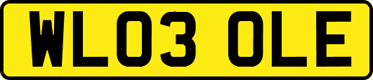 WL03OLE