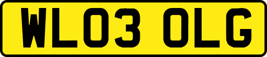 WL03OLG