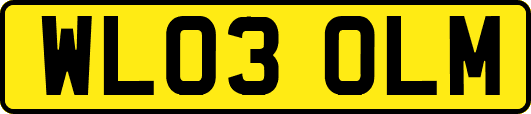 WL03OLM