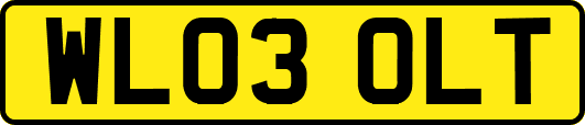 WL03OLT