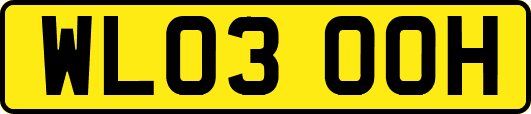 WL03OOH