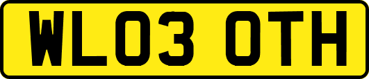 WL03OTH
