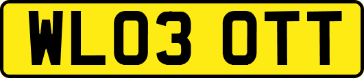 WL03OTT