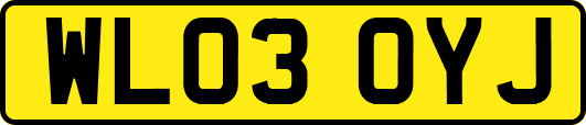 WL03OYJ
