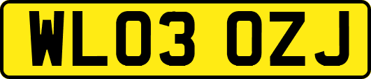 WL03OZJ