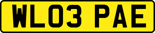 WL03PAE