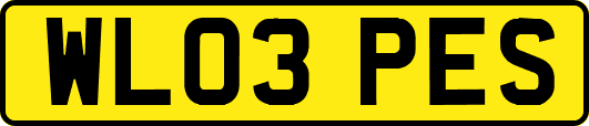 WL03PES