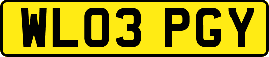 WL03PGY