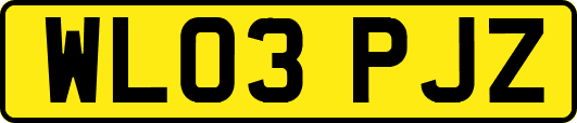 WL03PJZ