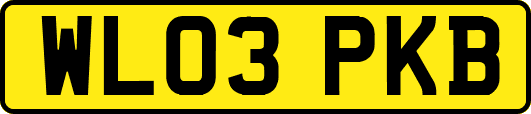 WL03PKB