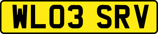 WL03SRV