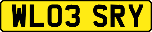WL03SRY