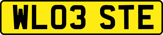WL03STE