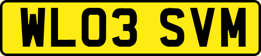 WL03SVM