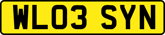 WL03SYN