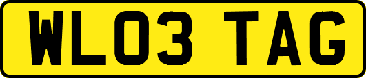WL03TAG