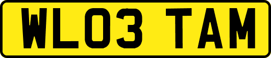 WL03TAM