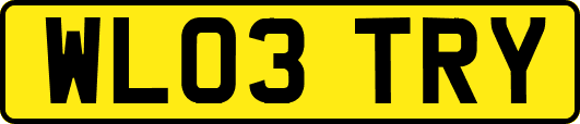 WL03TRY