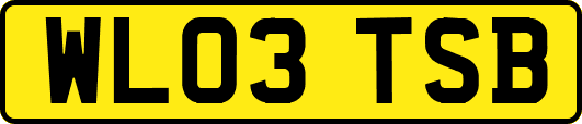 WL03TSB