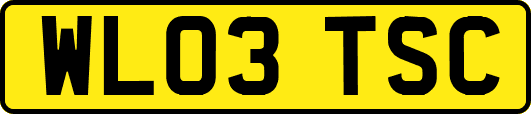 WL03TSC