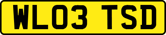 WL03TSD