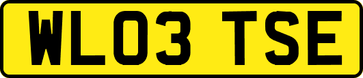 WL03TSE