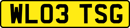 WL03TSG