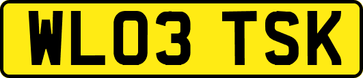 WL03TSK