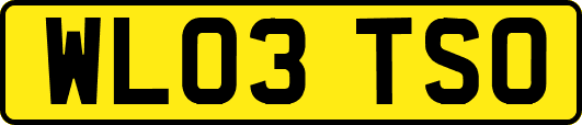WL03TSO